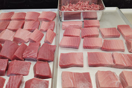 【年末年始予約用】【天然】本マグロ/中トロ/切り分け急速冷凍/74〜85g【冷凍】