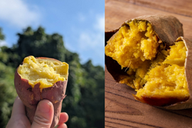 【ほくほく・ねっとり食べ比べ】　栗かぐや＆安納芋　ご家庭用　2kg