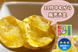 特別栽培🎖️【自然栽培🍠熟成シルクスイート（約１.５kg）】滑らかな舌触り・焼き芋にオススメ！