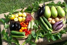 【イチオシBOX】祝5周年食べチョク　自然栽培野菜Mセット7～9種類