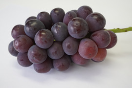 樹上完熟！岡山県備前市産びぜん葡萄【オーロラブラック】約1kg（2房前後）