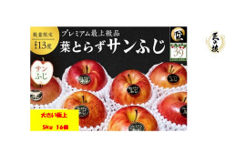 青森りんご 【大人気】【代々受け継がれた匠の味】大きめサイズプレミアム蜜入り葉とらずさんふじ5Kg糖度13度以上