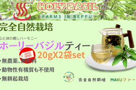 最終特価　ホーリーバジルティー　20g　合計２パックセット