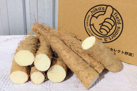 最終販売セール❣️【⚠️訳あり】カット長芋4.5kg★物価高騰､生活応援価格‼️