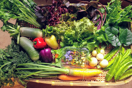 冬ギフト農薬化学肥料不使用野菜寒い時にはお鍋が嬉しい！身も心も温まろう！！冬野菜の定番、白菜、大根、長ネギなど盛り沢山