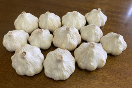 【500g入】マイルドな香味のニンニク「テラドー」