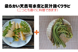 灰汁抜きワラビと筍水煮セット