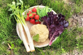 カリフラワーの野菜セット【4種類以上】