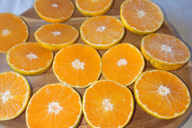 家庭用【自然栽培】食べやすい甘さ 食べ出したら止まらない 極早生みかん（10K）