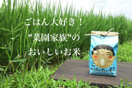 ごはん大好き！菜園家族の旅するお米「コシヒカリ」〈玄米〉２０kg