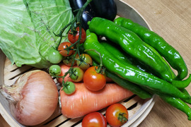 京都美山発！万願寺とうがらし推し！夏の京野菜セット！ ８０サイズ！【６～７品目】