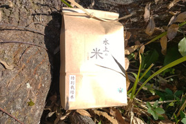 九州山地の特別栽培米　【普通乾燥】２Kg