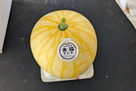 シャリ感と甘さのダブルパンチ！希少種！金福スイカ（約2kg）