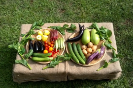 買い物時短セット ・自然栽培野菜Sセット7～9種類 ・自然栽培米1kg（2021年産・白米）
