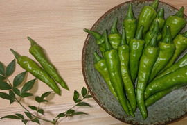 "幻"の『香川本鷹』青唐辛子  1kg   (写真は100g)       最高級のゆず胡椒作りにどうぞ。