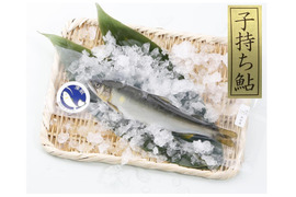 和歌山県の魚で産地直送の商品｜食べチョク｜産地直送(産直)お取り寄せ