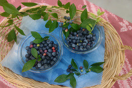 冷凍ブルーベリー　500g×2パック