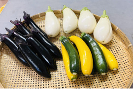 有機の野菜(ズッキーニ・白ナス・筑陽ナス各１kg)の３kgセット✨【周防大島産】食べ方いろいろ💖