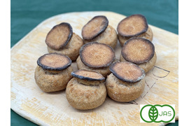 全部有機！Singleパン㉛：麦の栽培から一貫生産　自然栽培有機小麦のみ使用した有機シャンピニオン8個