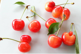 【さくらんぼ】家庭用グラデーションセット 【佐藤錦】🍒1キロ🍒【双子ちゃんが入るかも】【訳あり】