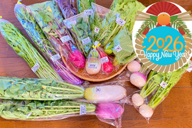 限定5セット【ゲン担ぎ福袋】『福来い！』旬菜セット【自然栽培🍀固定種100サイズ】朝採り新鮮！（３〜５人様向け）