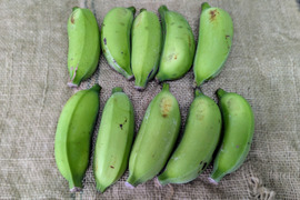 沖縄からの贈り物　ブラジルバナナ1㎏【農薬・除草剤・化学肥料不使用】