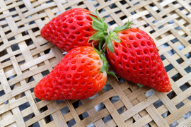 【朝市限定】いちご極甘！！「名称」SenshūBerryと「品種」章姫の食べ比べｓｅｔ
