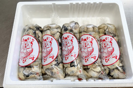 牡蠣祭りじゃ～🦪【生食用】生牡蠣 むき身 500ｇ× 5袋　「熨斗対応可」