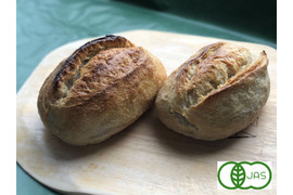 全部有機！麦の栽培から一貫生産　Singleパン⑲：自然栽培有機小麦のみ使用した有機クッペ2個