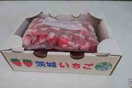 《2kg》完熟冷凍いちご　いちご農家さんからの直送品　お買い得商品