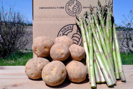いも🥔アスパラセット✨北海道産‼️【アスパラ】約500gと､ひと冬越して甘みが増した【濃い味とうや】約1.7kg×2袋🥔
