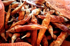 🌿唐辛子つき🌿農薬不使用🎵🎵【数量限定❗❗】子供に食べさせたい野菜(5品目~7品目)😋🍚🎵🎵ばぁばのモノスゴイ野菜🍅🍆🌽✨✨✨✨✨
