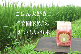 ごはん大好き！菜園家族の旅するお米「コシヒカリ」【白米】５kg