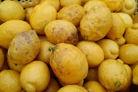 果汁4kg【果汁用】【訳あり】【完熟】【栽培期間中農薬不使用】大崎上島レモン4㎏