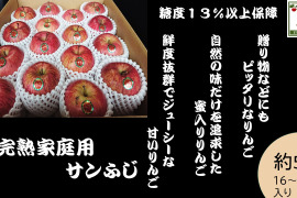 青森県産りんご 大人気 糖度14%以上保証「冬ギフト」雪完熟家庭用サンふじ5kg１６個入