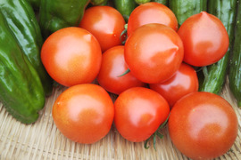 田口農園 徳島の紹介 徳島県 食べチョク 農家 漁師の産直ネット通販 旬の食材を生産者直送