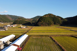大迫様専用ページ