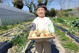 農家直送！淡路島産 玉ねぎ 10kg