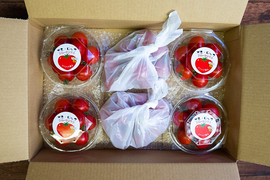 【大人気商品♫】甘さと香り抜群！フルーツトマト「ポモロッサ」（4パック＋おまけ2つ付）