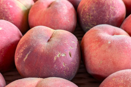 夏だけの特別な桃🍑 陽夏妃〈家庭用 3kg〉