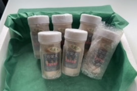 青森県　大間産　塩ウニ６本セット