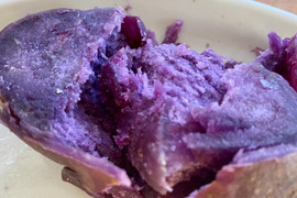 12月から販売予定【自然栽培🍠熟成・紫芋（約１.５kg）】ほっくり系のパープルスイートロード・焼き芋にオススメ！