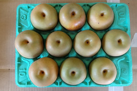 【贈答用にも◎】幸水 3kg 2Lサイズ(10玉入)