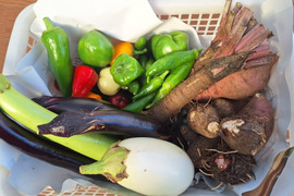 【農薬化学肥料不使用】旬の野菜セット(80サイズ5-6品)