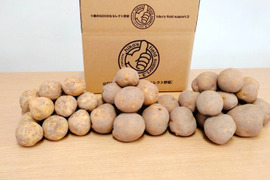 ✨新じゃが、熟じゃが、新旧じゃがいも🥔【とうや】食べ比べセット‼️