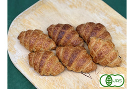 全部有機！Singleパン③：麦の栽培から一貫生産　自然栽培有機小麦のみ使用した有機クロワッサン×6