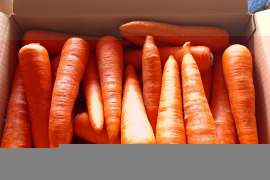 とっても甘い！向陽２号にんじん10kg