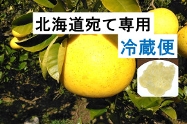 化学合成農薬栽培期間中不使用　土佐文旦　A品(農園独自基準)　3L～4Lサイズ　5kg(8個前後)　文旦の本場👑高知県土佐市産　“北海道への配送専用商品です”