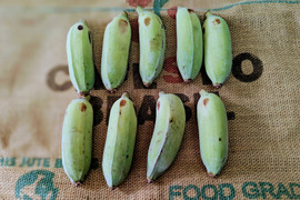 沖縄からの贈り物　アップルバナナ1㎏【農薬・除草剤・化学肥料不使用】