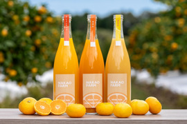 人気⇒【クレメンティン】【はるか】【みかん】濃厚みかんジュース三種類飲み比べセット